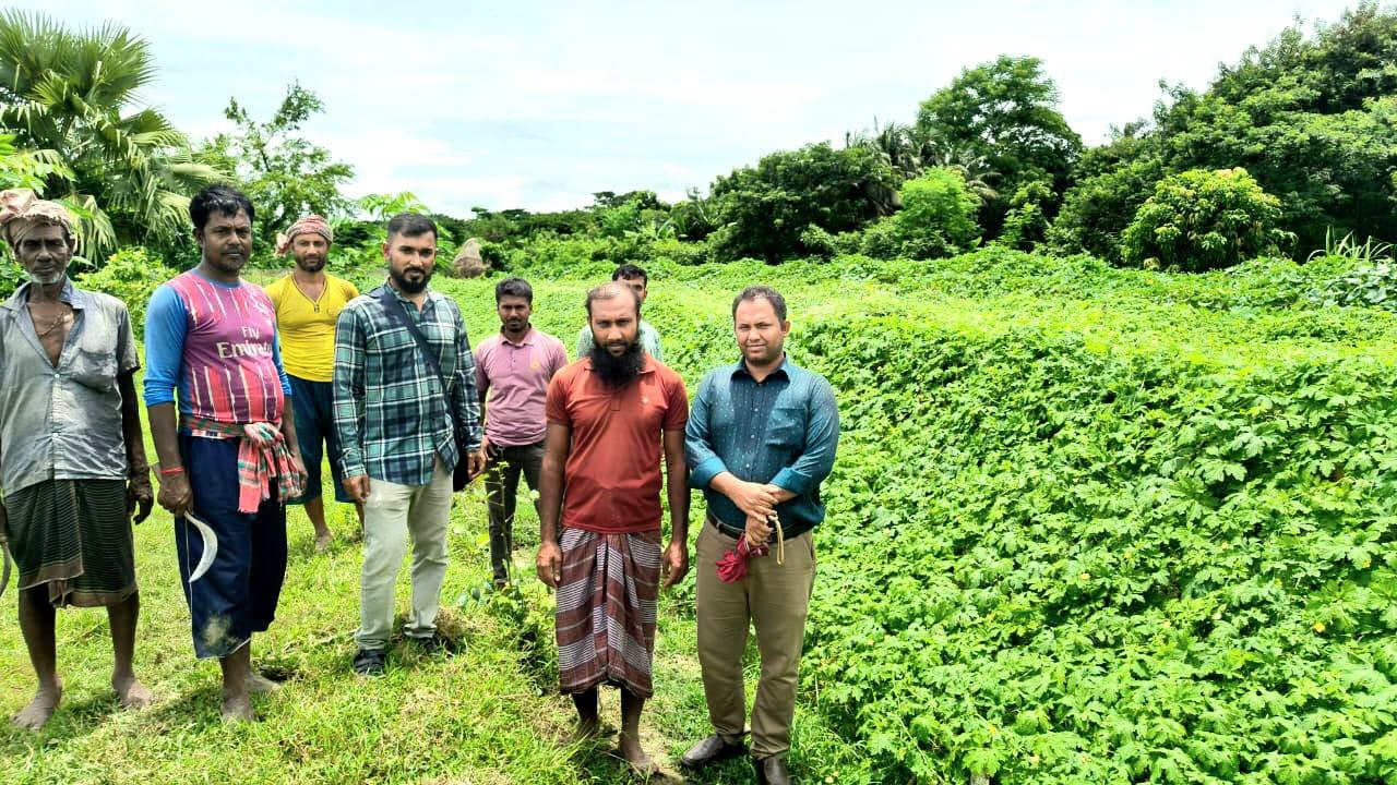 রামপালে ঘেরের আইলে সবজি চাষে নতুন সম্ভাবনা কৃষকের জীবনে বদলে যাচ্ছে অর্থনৈতিক চিত্র